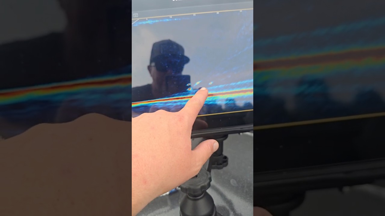 Do you run live technology on your boat?