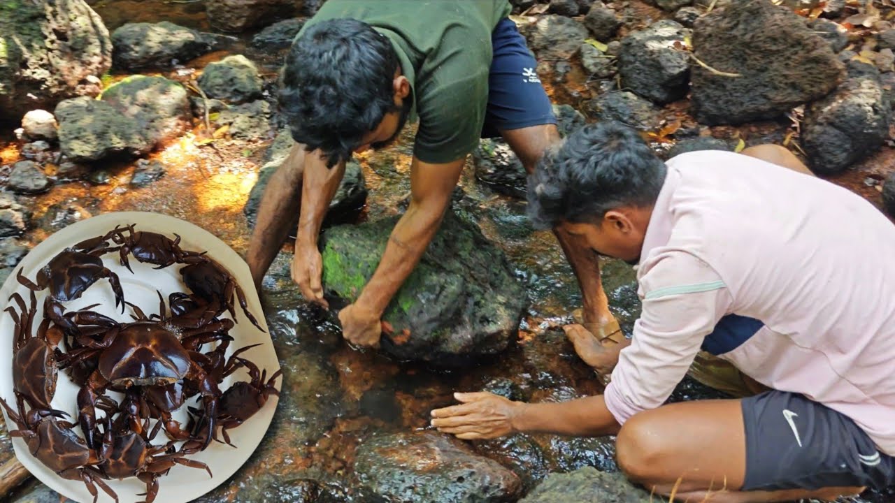 व्हाळातले दगड परतून खेकडे पकडण्याची मज्जा , बीळ पोखरून काढला मोठा खेकडा | Crab catching @TejaGurav 