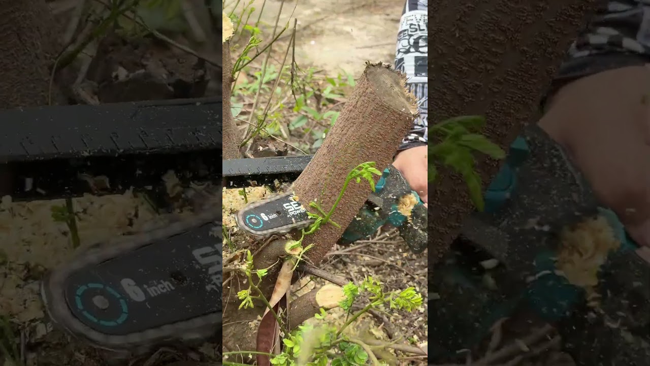 One set for all your yard projects #PrimeDay #gardening #yardwork #polesaw #hedgetrimming #chainsaw