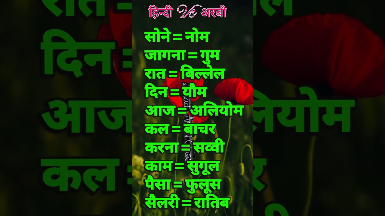 अरबी शब्दों का जादू - रोज़ की चीजें सीखें #arabicwords #magic