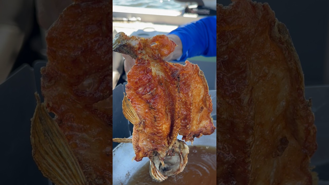 TRAÍRA FRITINHA EM CIMA DO BARCO!#pescaria #comida #johnnyhoffmannoficial #pesca