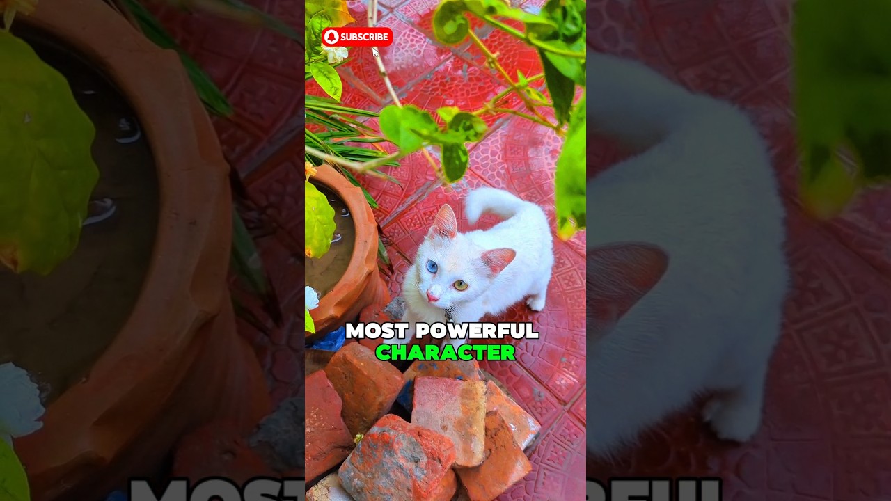 Calling All Video Game Fans! 📣 #trending #shortsfeed #pets #animals #funny #cutecat #cat #kitten