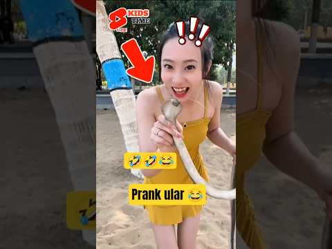 PRANK ular ngakak 😂 #shortsfeed #shorts #comedy #lucu