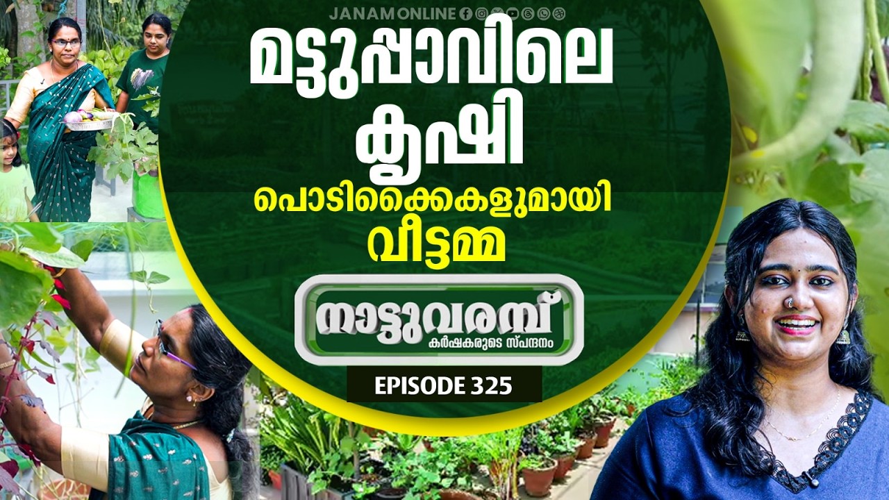 കൃഷി ഊർജ്ജമാക്കി വീട്ടമ്മ...നാട്ടുവരമ്പ്‌ - EPISODE - 325| Janam Online