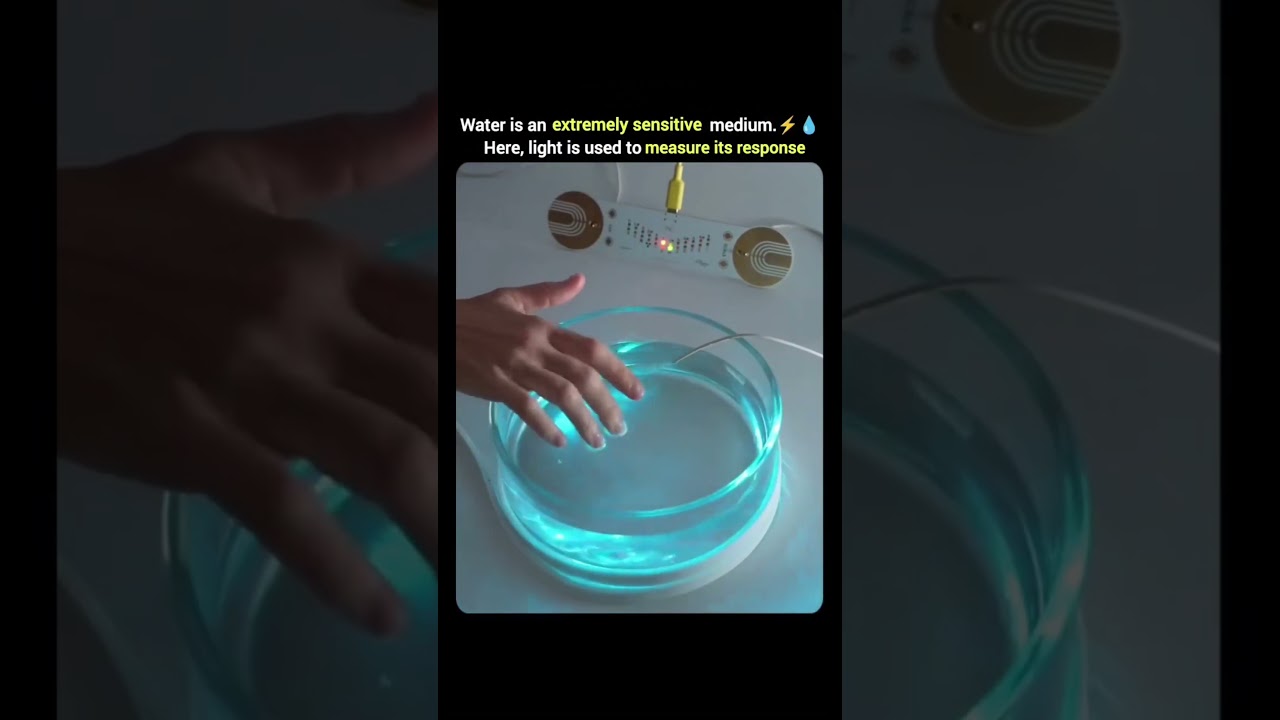 Water Are Sensative 💧..#polytechnic #engineering #viral #project #science #developer #technology