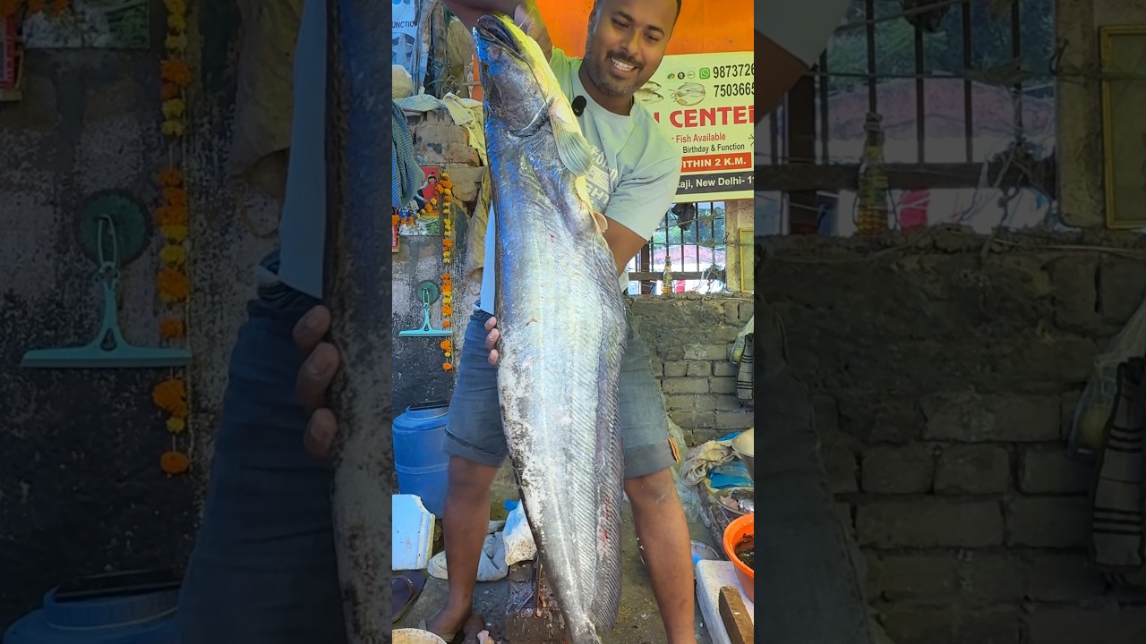 Amazing 16KG Boyal Fish Cutting 🐟🔥 | Giant Boyal Fish Cutting | Big Fish Cutting
