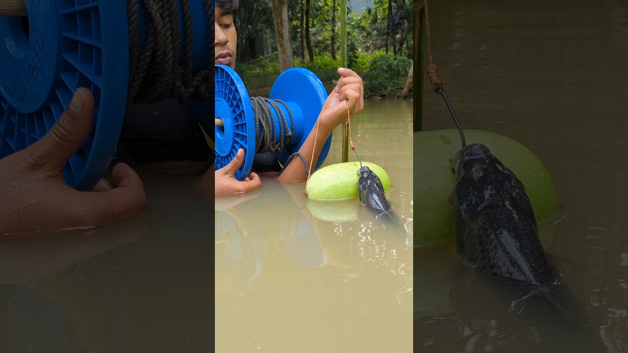 Tempting fishing bait, with gourd bait by fish catching#fish#video