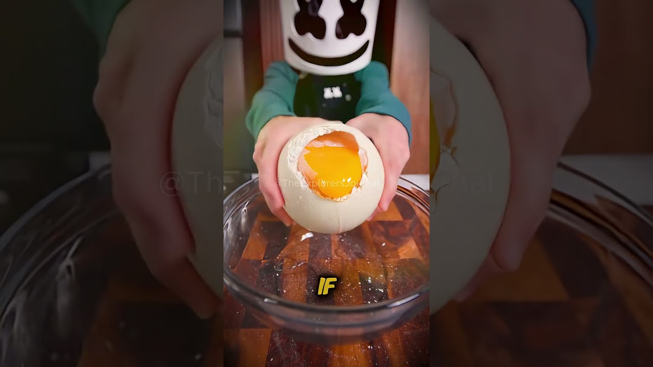 GIANT EGGS 🥚🦤 #animals #food #viralshorts #amazing #funfacts