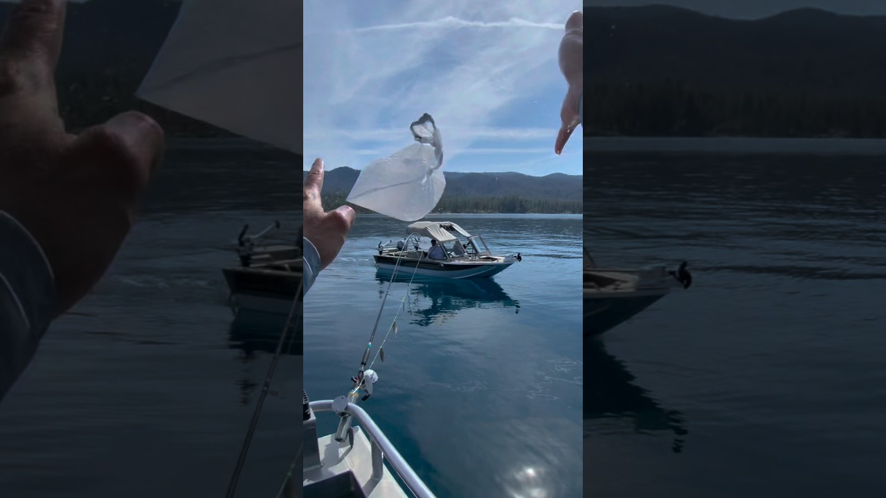 Sharing is caring, I share fish. #fishing #laketahoe #laketrout