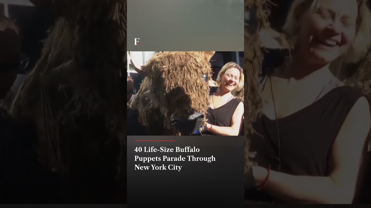 40 Life-Size Buffalo Puppets Parade Through New York City | Subscribe to Firstpost