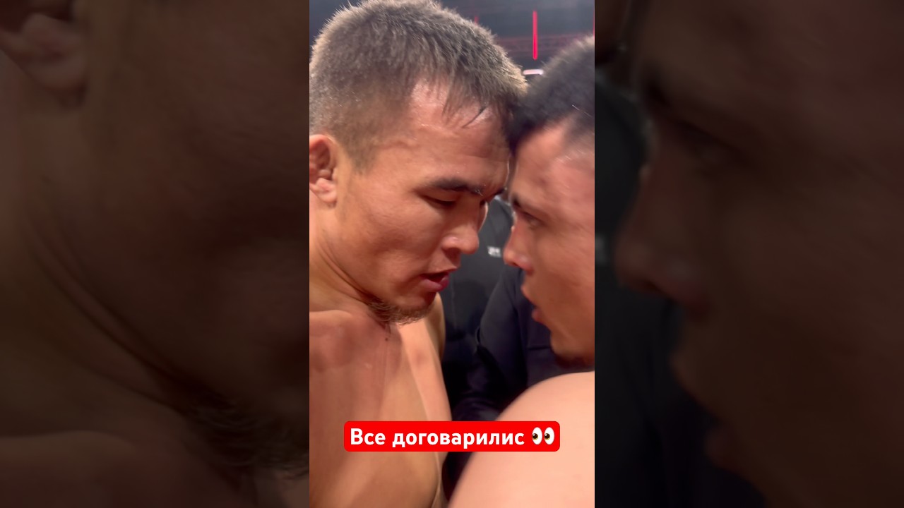 Все договорились #мма #muradaov #абдукариммирзаев #харидуз #бой #хонор #ufc #бокс #элдосалмазов