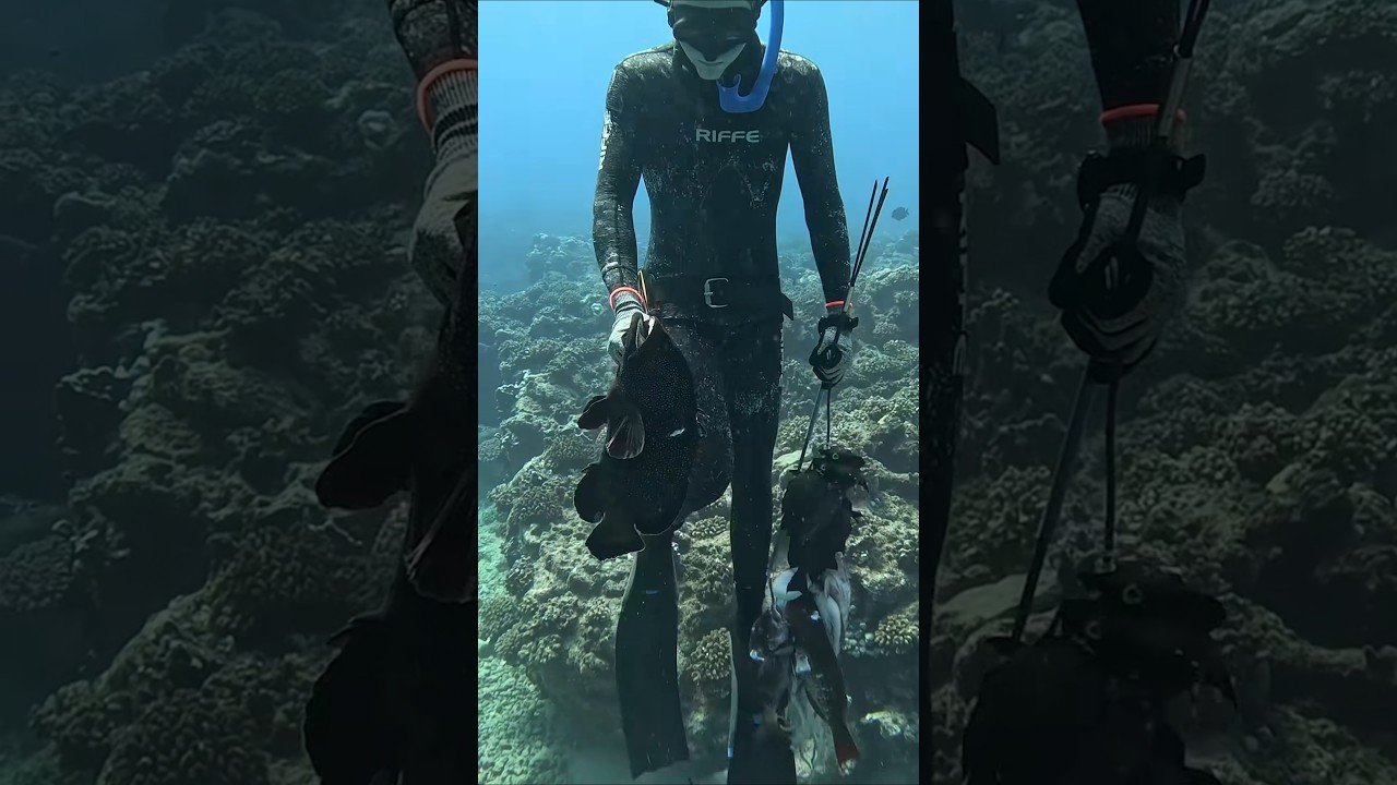 Hand Spear Hunting in Hawaii #fishing #spearfishing