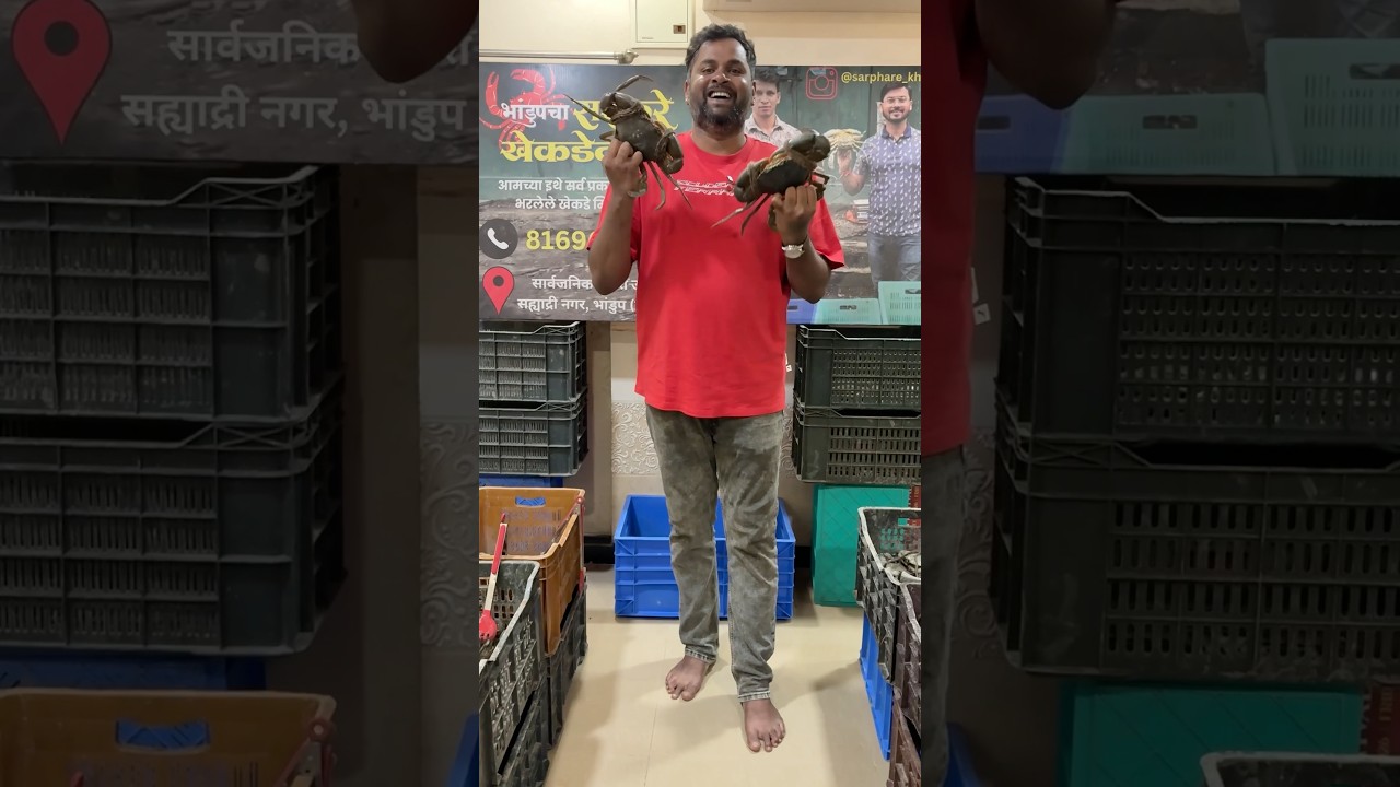 भांडूपचा सरफरे खेकडेवाला | Fresh Crab And Fish Supplier