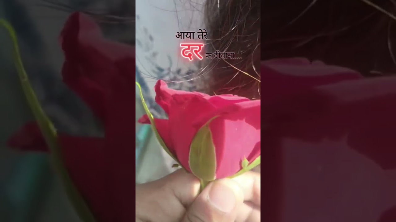 Love u Shyam Baba🫰#minivlog #shorts #travelvlog #travel #khatushyam #viral #ytshorts