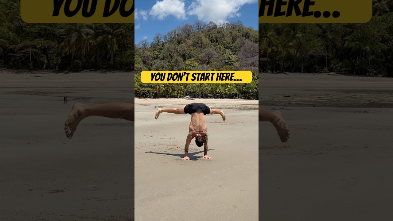 Beginner Bodyweight Workout Program With No Equipment