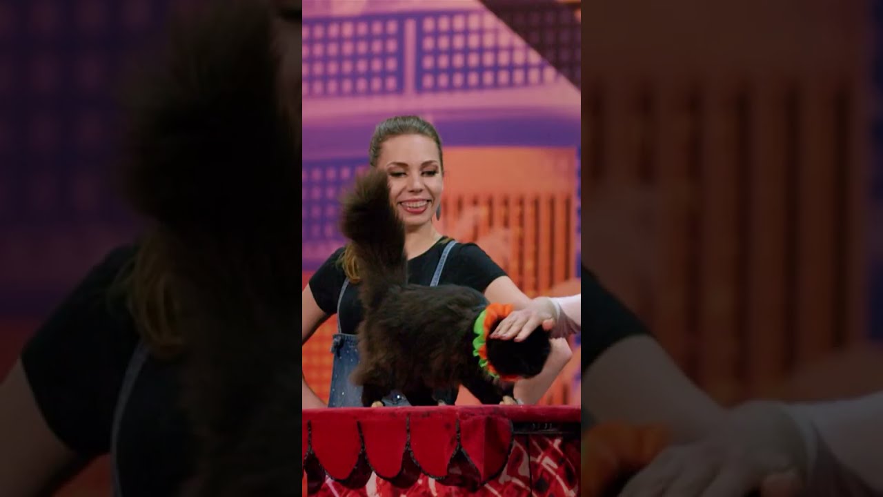 Cat's Got Talent?! 😸 #agt #cats