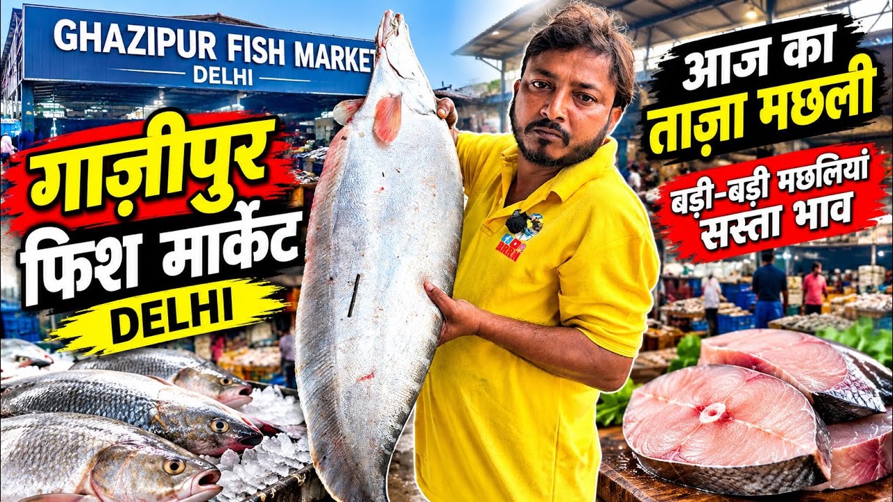 Ghazipur Fish Market Delhi 🐟 | Fresh Fish Market | Wholesale Fish Price | Fish Cutting