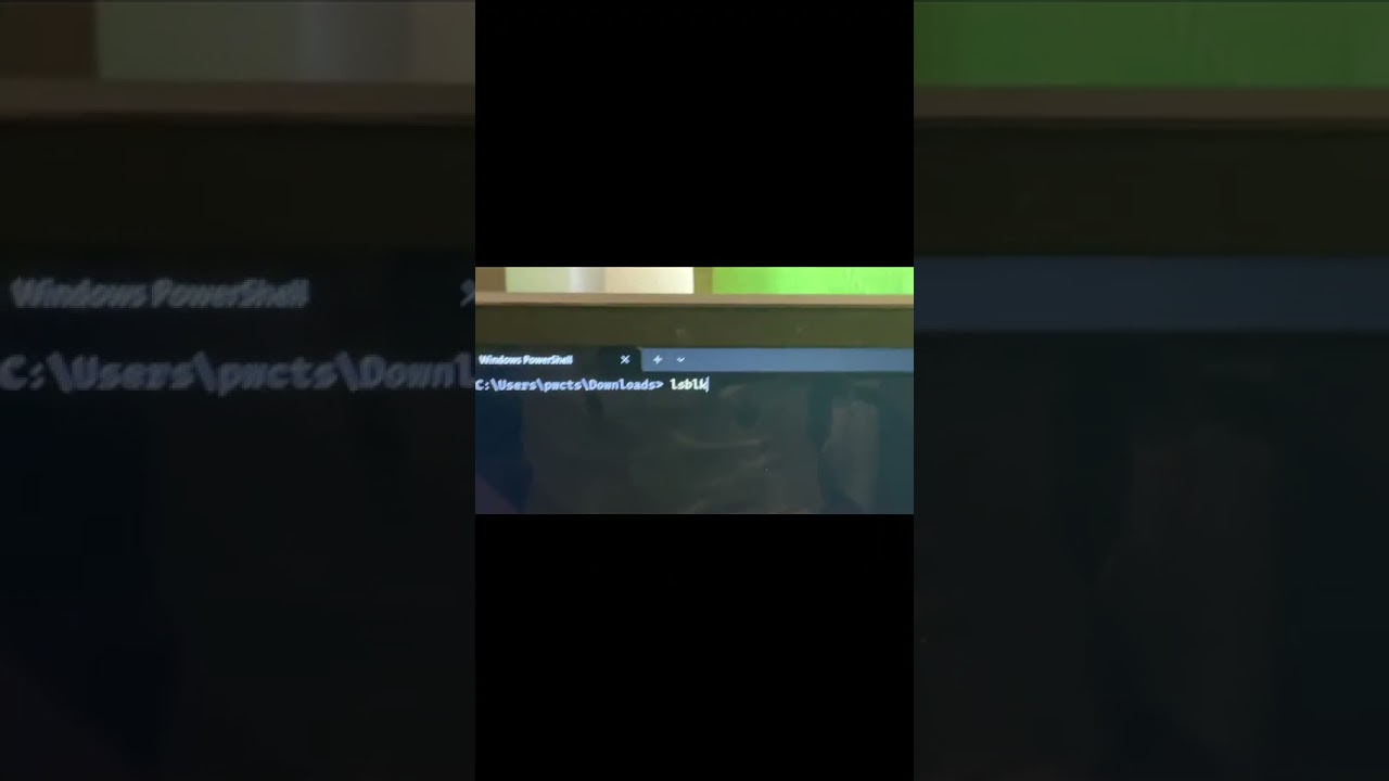 I  PROMISE THIS IS NOT MY VOICE #games #linuxdesktop #linuxdeepin #linuxlite #playonlinux #linuxpc
