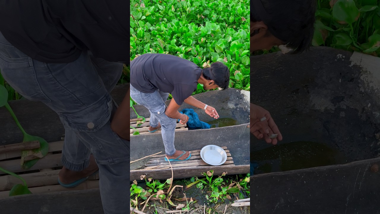 Nause hamain milgaya transparent machli🐟🤔(1571) hindi fishing video #fishingvideo