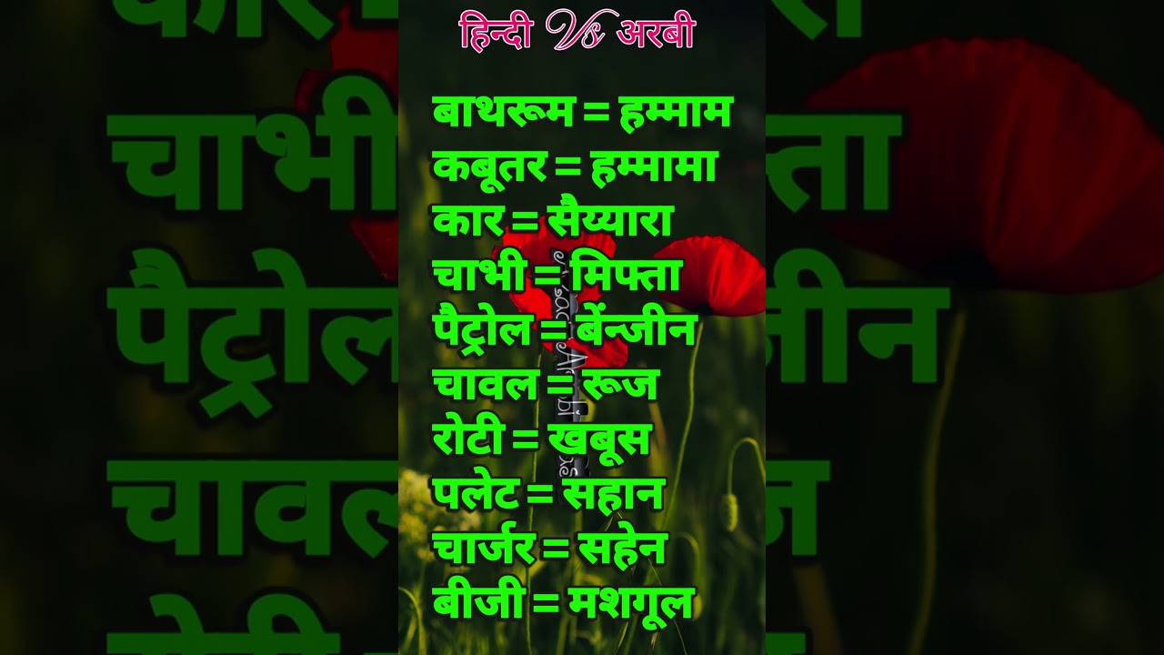 रोजाना इस्तेमाल होने वाले अरबी शब्दः पुलिस और सरकारी ऑफिस #ArabicLearning #Vocabulary #Shorts