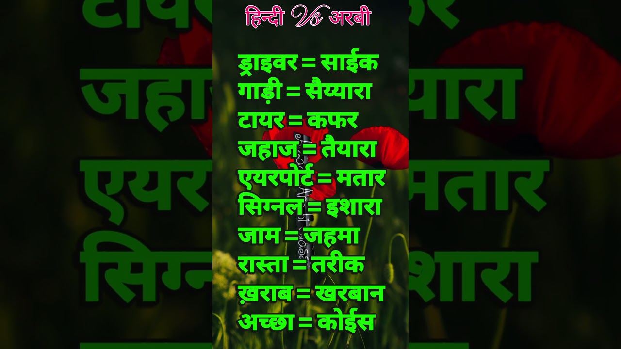 11 अरबी शब्द जो आपको पता होने चाहिए! 💡🌍 #arabic #learning#shorts