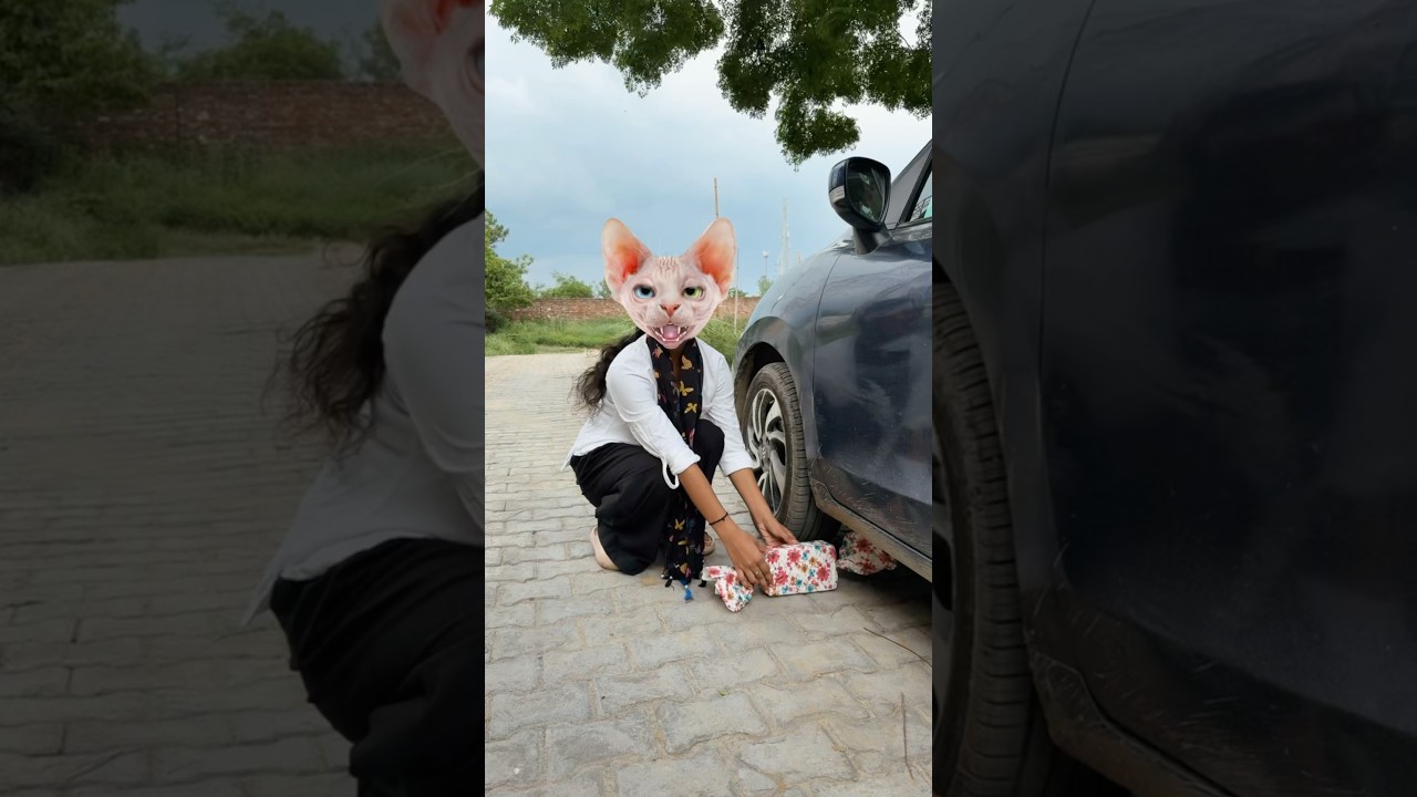 Cat Meri toffee le gaye #comedy #funny #cutebaby