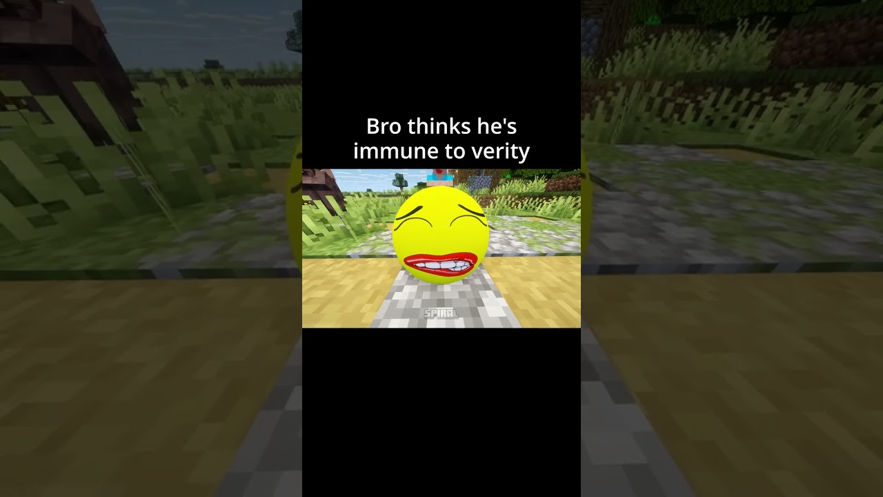 Minecraft Meme - Ultimate Villager SlapWar