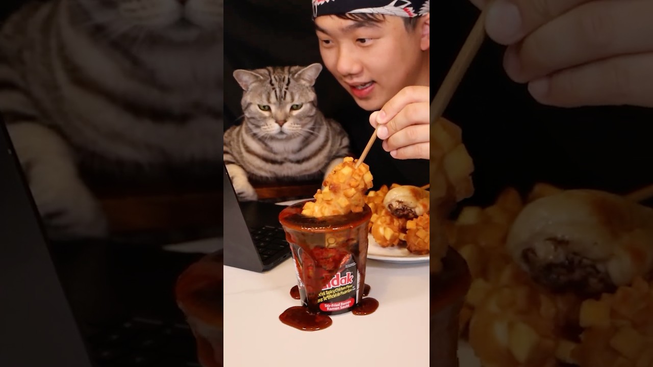My Boss asked me to make more drumsticks 🍗 #cat #food #funny