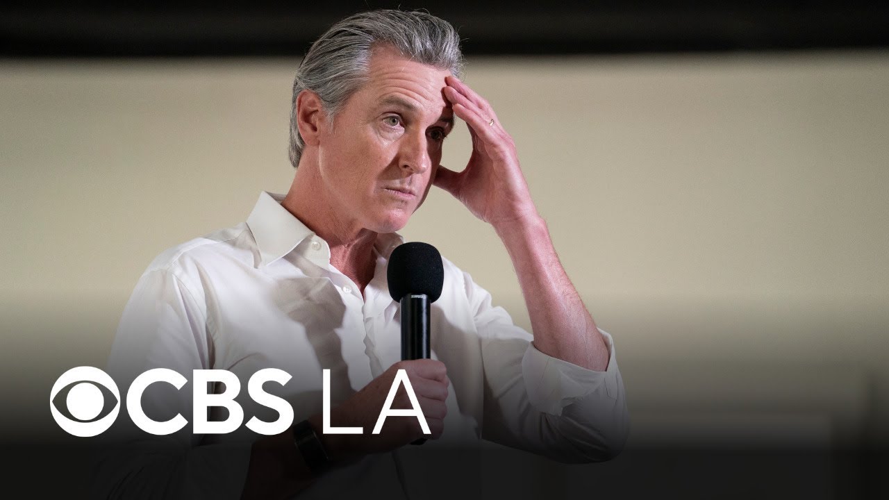 Newsom forms California panel to study "kill switch" for AI, new safety regulations