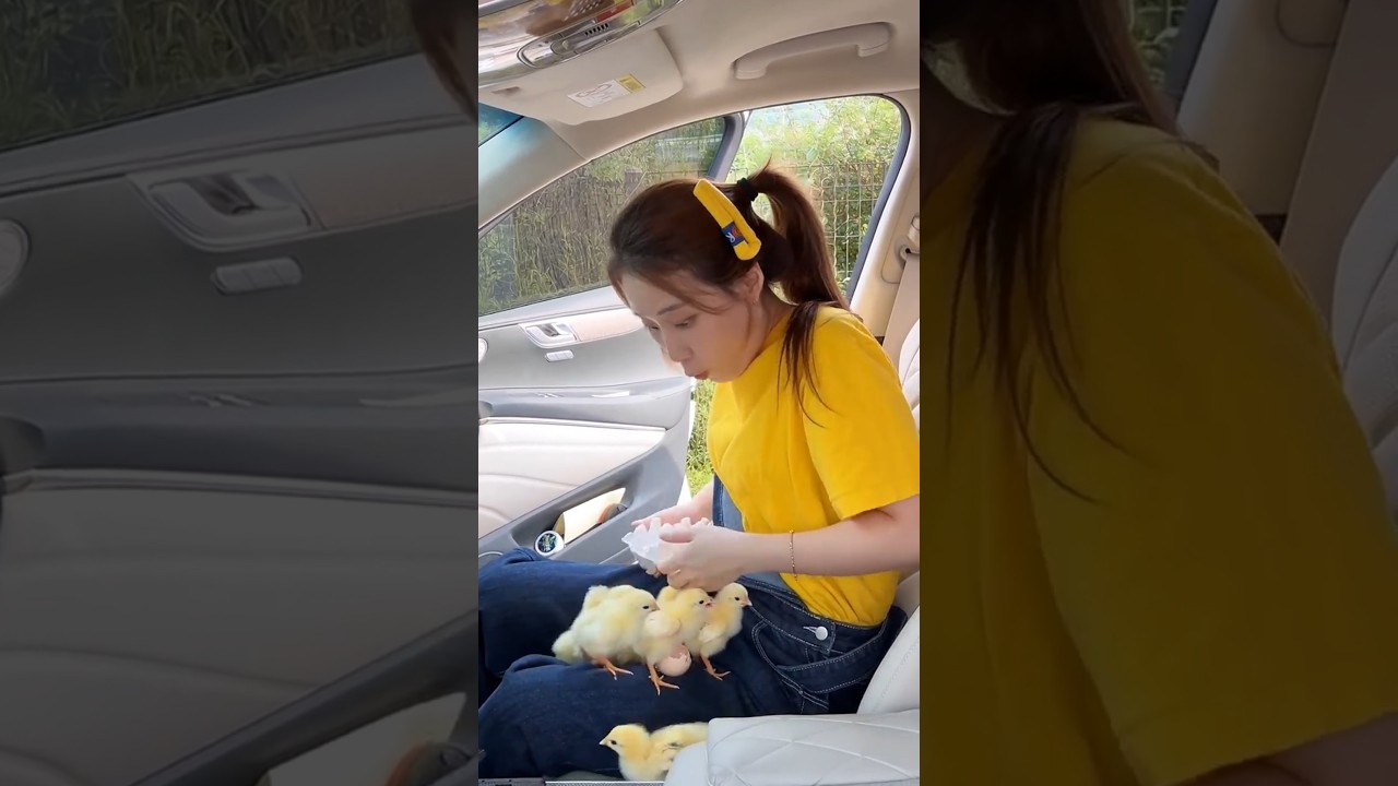 I Hatched a Chick in My CAR?! 🥚🚗