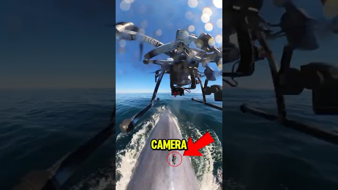 He Put a Camera on a Whale... This Is What It Saw 😳🐋