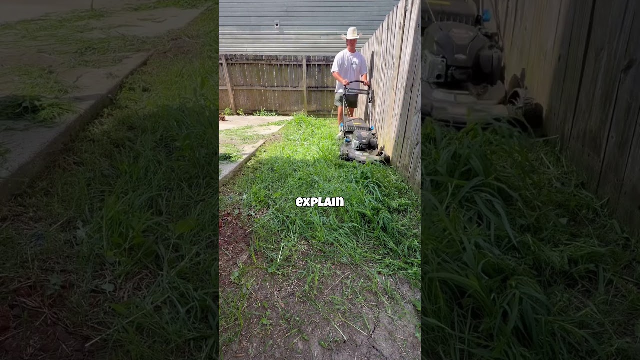 This yard could pay me til I die #lawncare #dclawncare #lawn #work #mowing