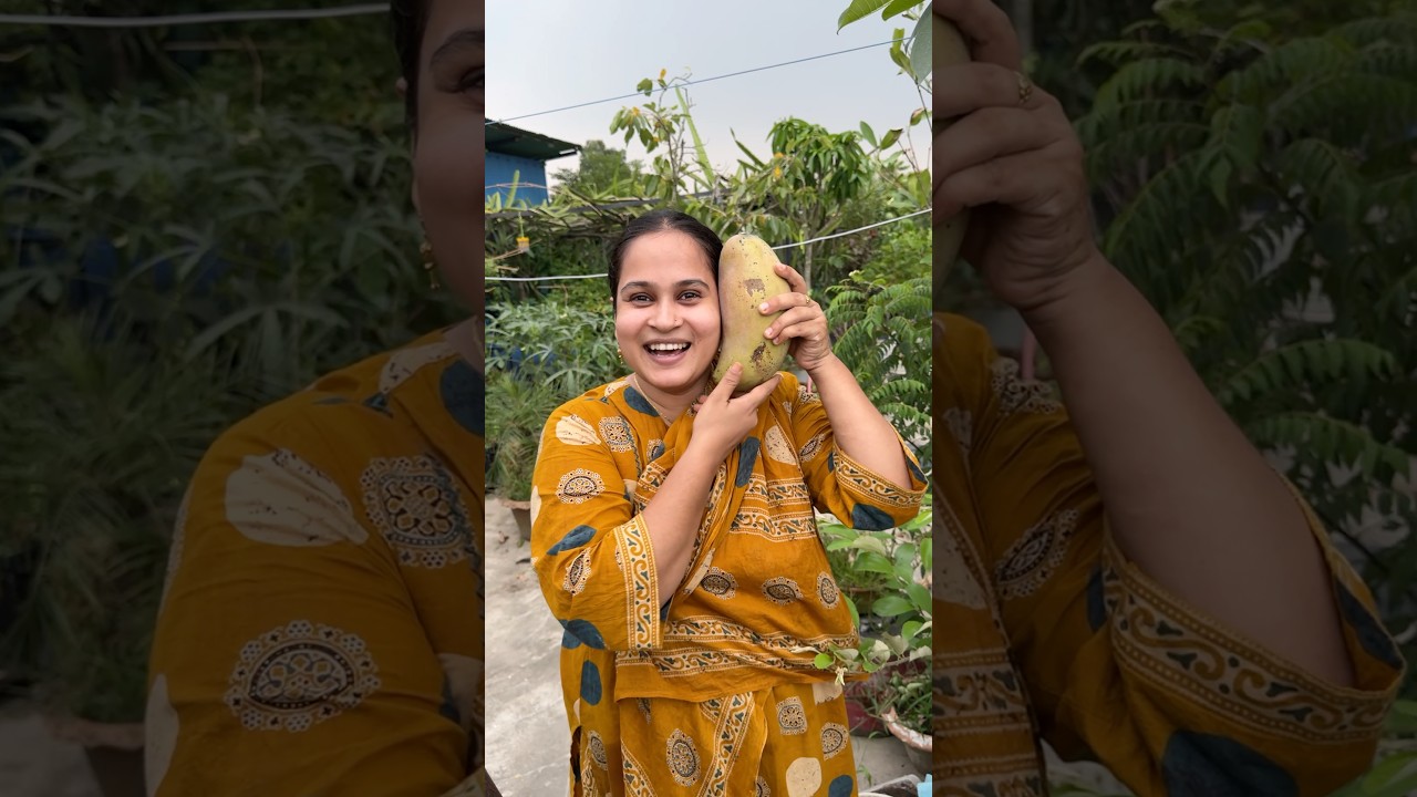 মাশাআল্লহ আমাদের প্রাণের ছাদবাগান🤲🥹#gardening #roofgarden #nature #jerinexclusive