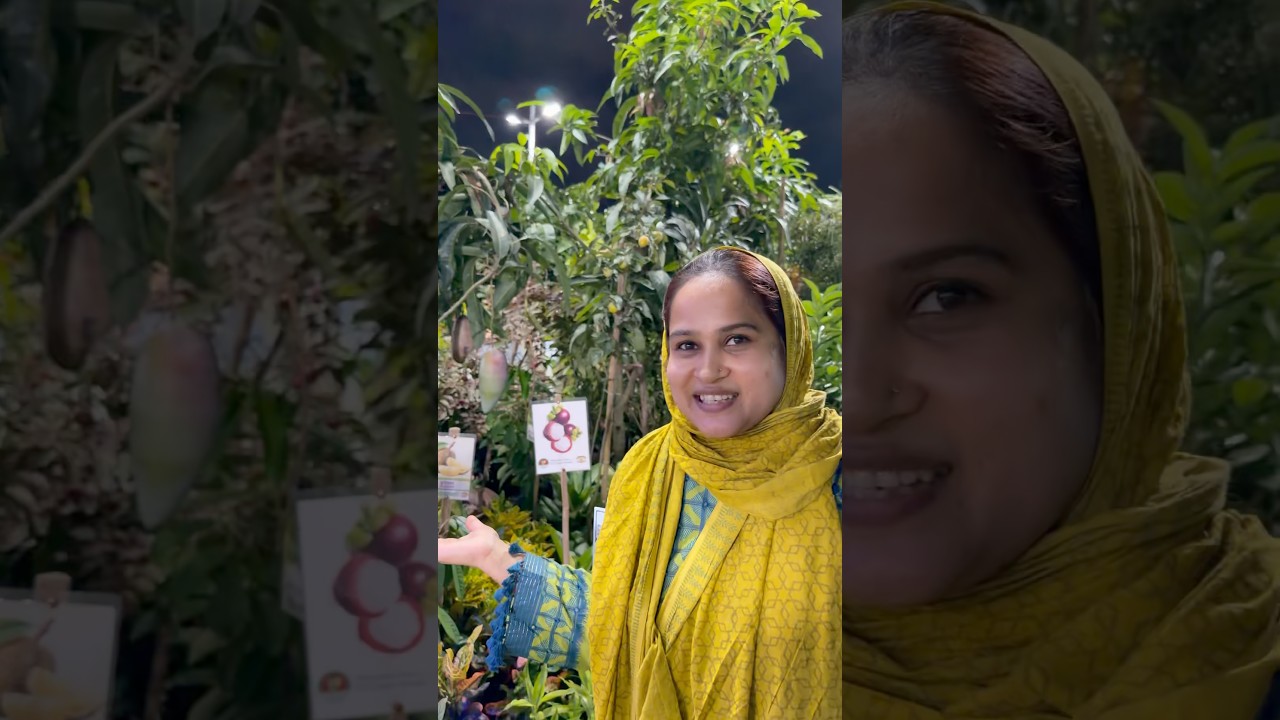 একটা গাছ কিনতেই পকেট ফাঁকা হয়ে গেছে গাইস😭#gardening #rooftopgarden #shorts #jerinexclusive