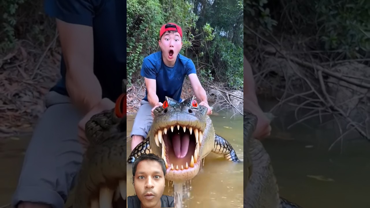 Survival Skills SMART Idea and USEFUL khilonagirakisme#bushcraft​#camping​ #outdoors​#usefulpart028​