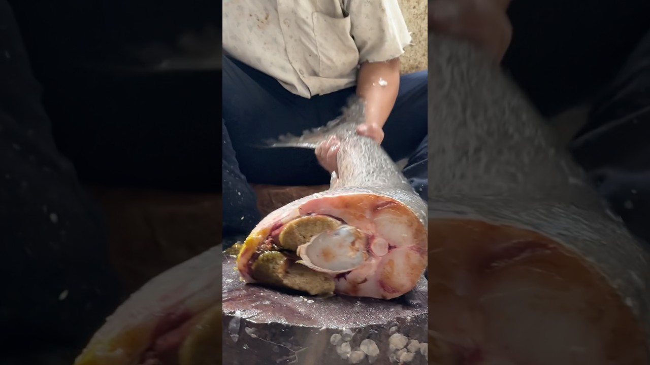 🐟 Silver Fish Cutting Video | Fresh Silver Fish Market | ताज़ी चांदी जैसी मछली काटना