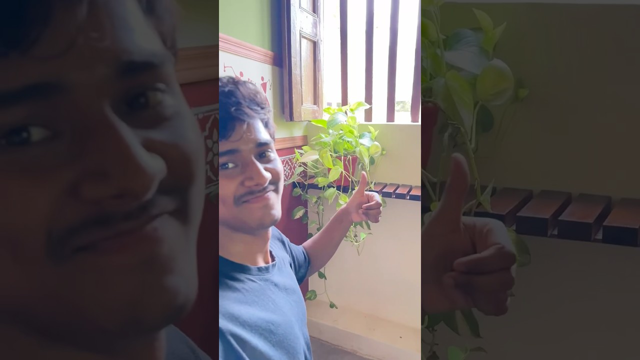 60 days room transformation in just 60s