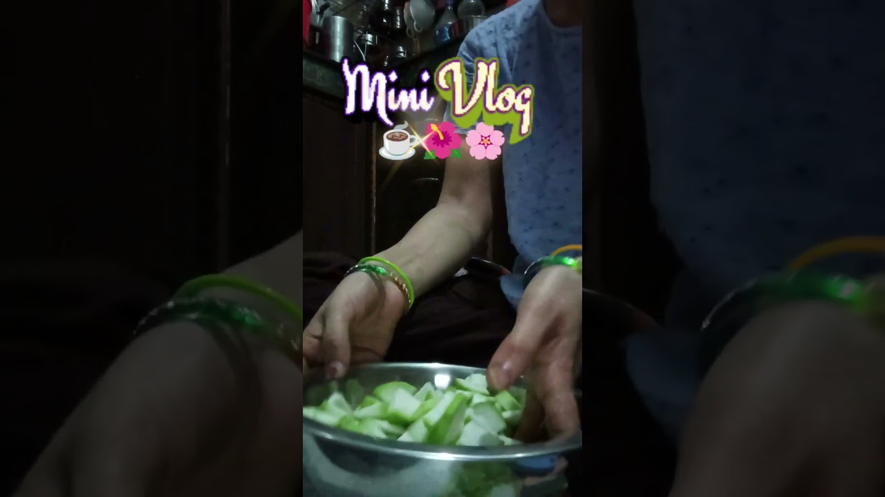 mini vlogs daily lifestyle news creator #bestyoutuber #indianyoutuber #food #desiviilagelifetstyle
