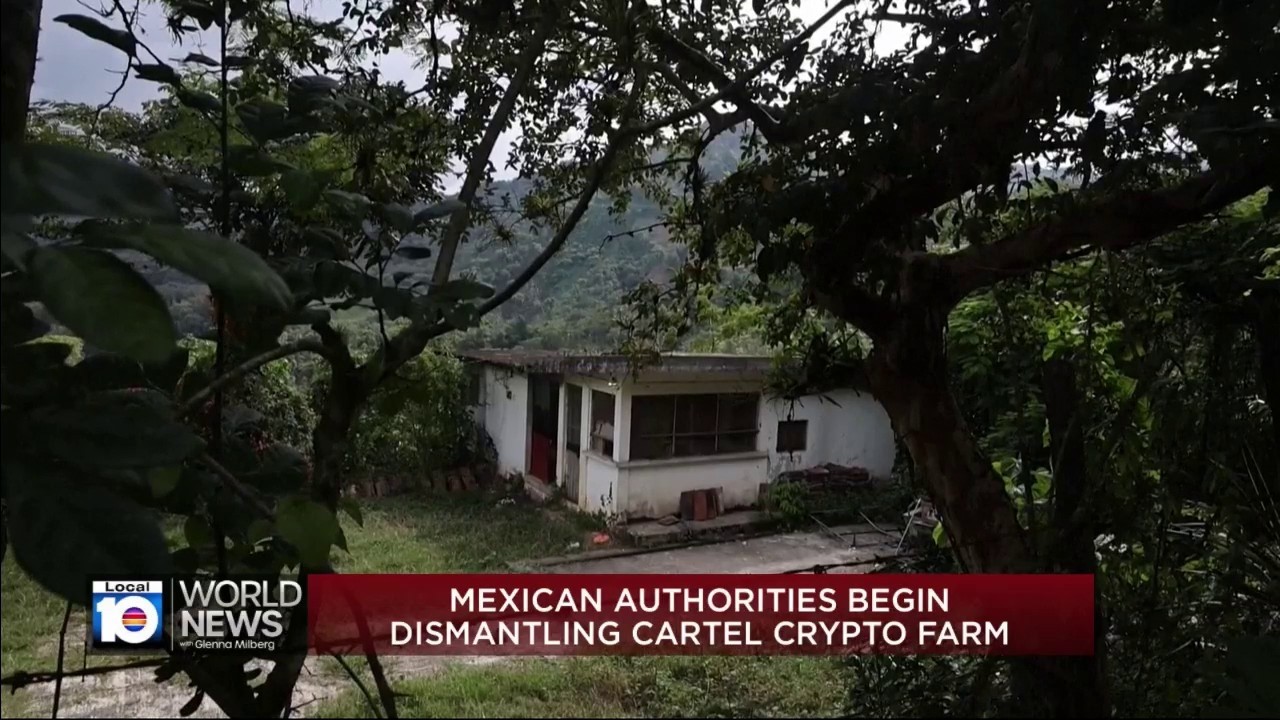 Authorities in Mexico working to dismantle newly discovered cartel crypto farm