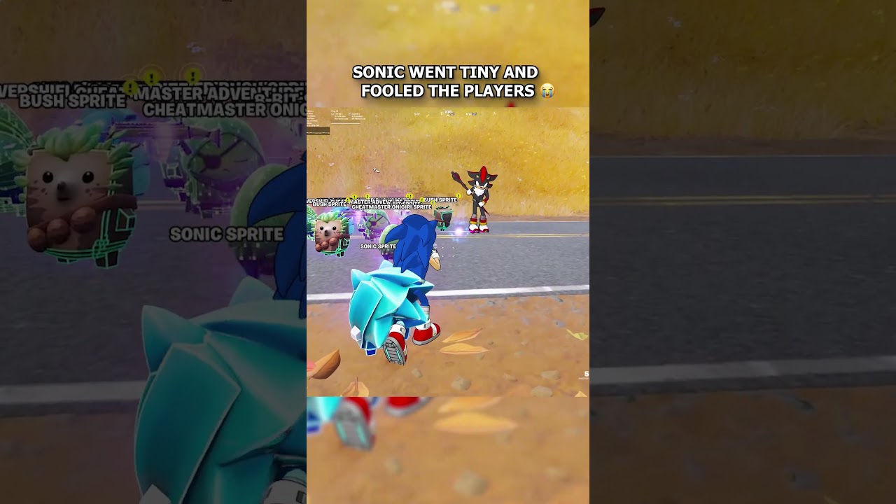 SONIC FOOLED THE PLAYER