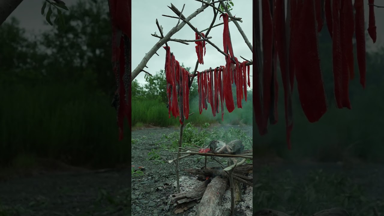 The Fastest Way to Dry Salmon in the Wild #outdoors #camping #skills