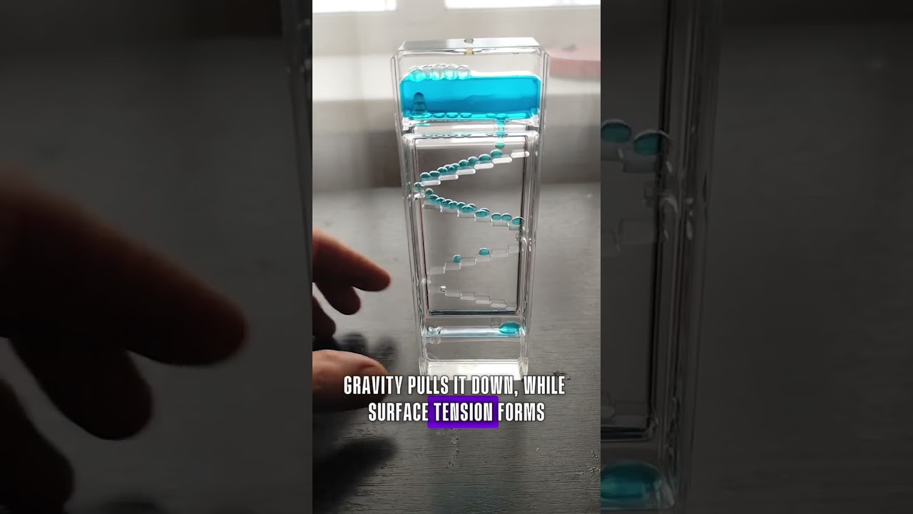 The Most Satisfying Physics Toy Ever! 🔵✨ #shorts #physics #satisfying