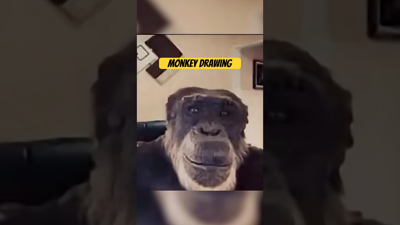 Monkey reacts to this drawing 🙊 #funny #monkey #drawing