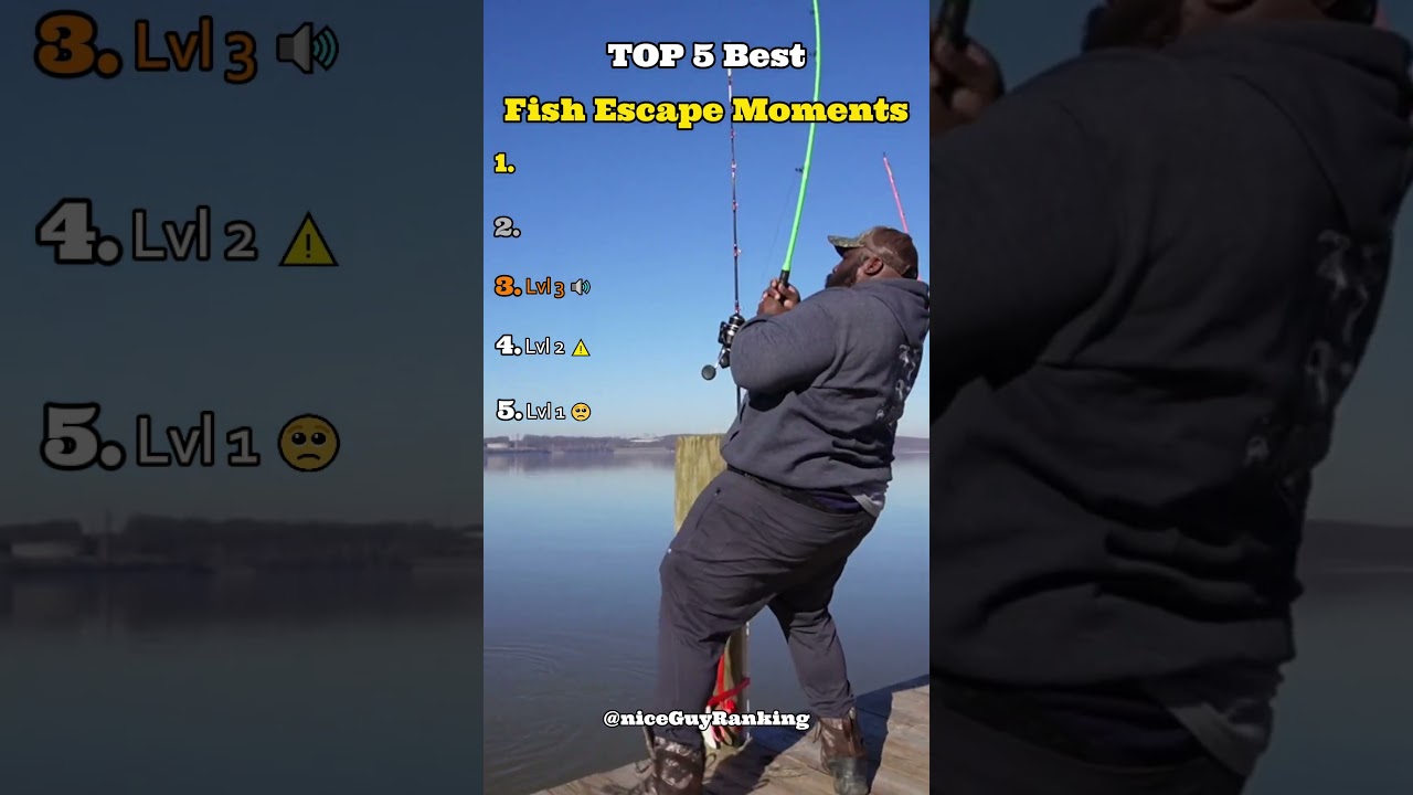 Top 5 Fish Escape Moments 🎣  #fishing  #tiktok  #best