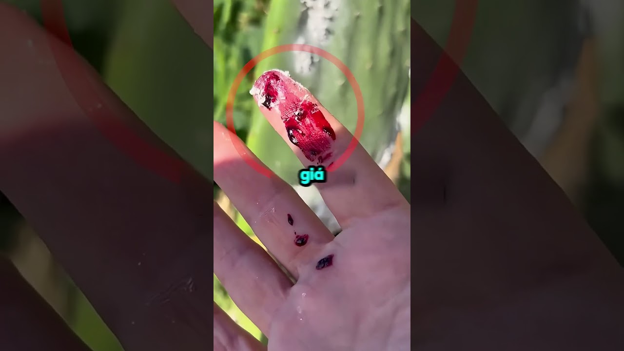 Loài Côn Trùng Bạn Đã Ăn Cả Đời Mà Không Hay Biết