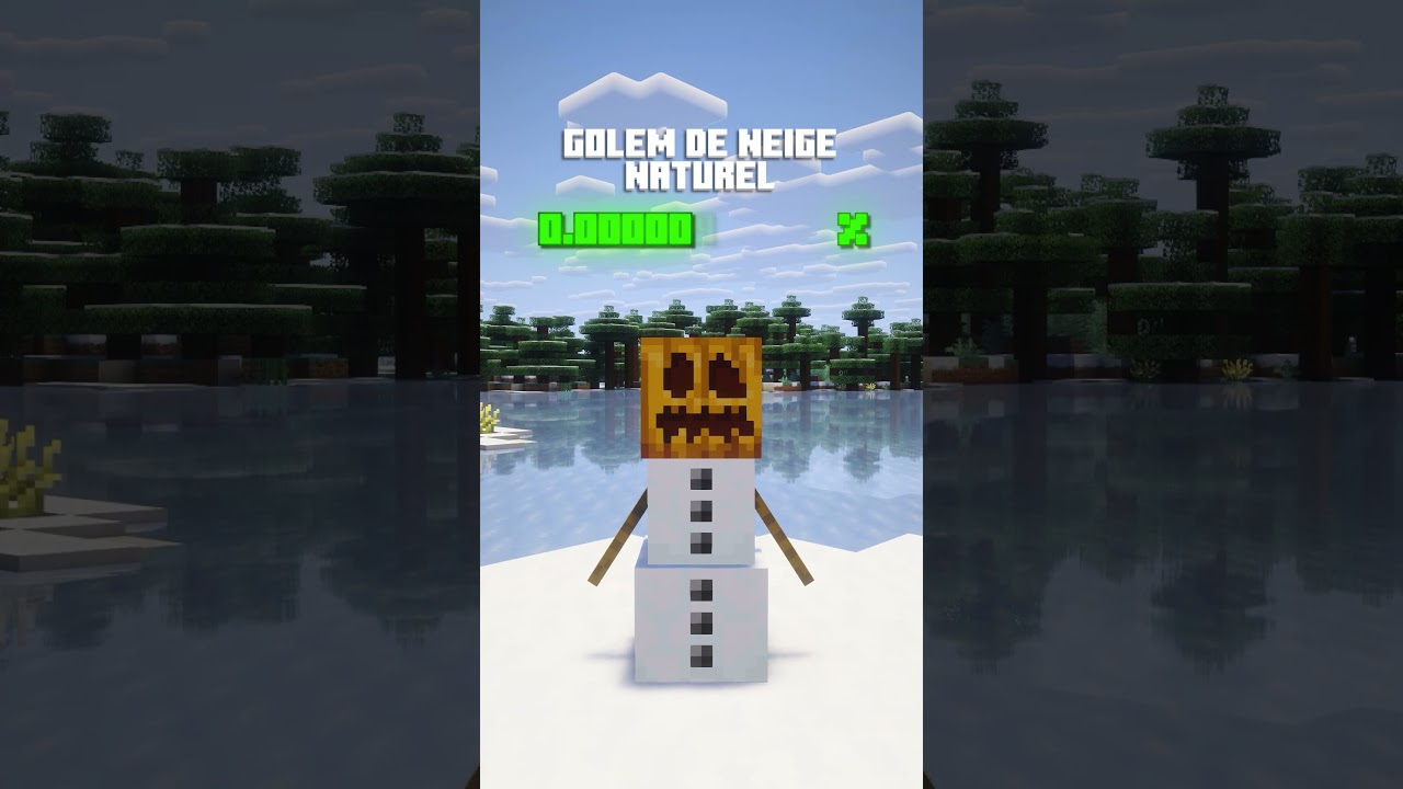 Les probabilités RARES sur Minecraft 🤯