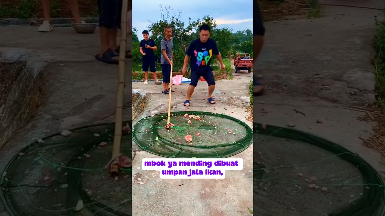 Semangka Buat umpan Jala ikan‼️ #shorts