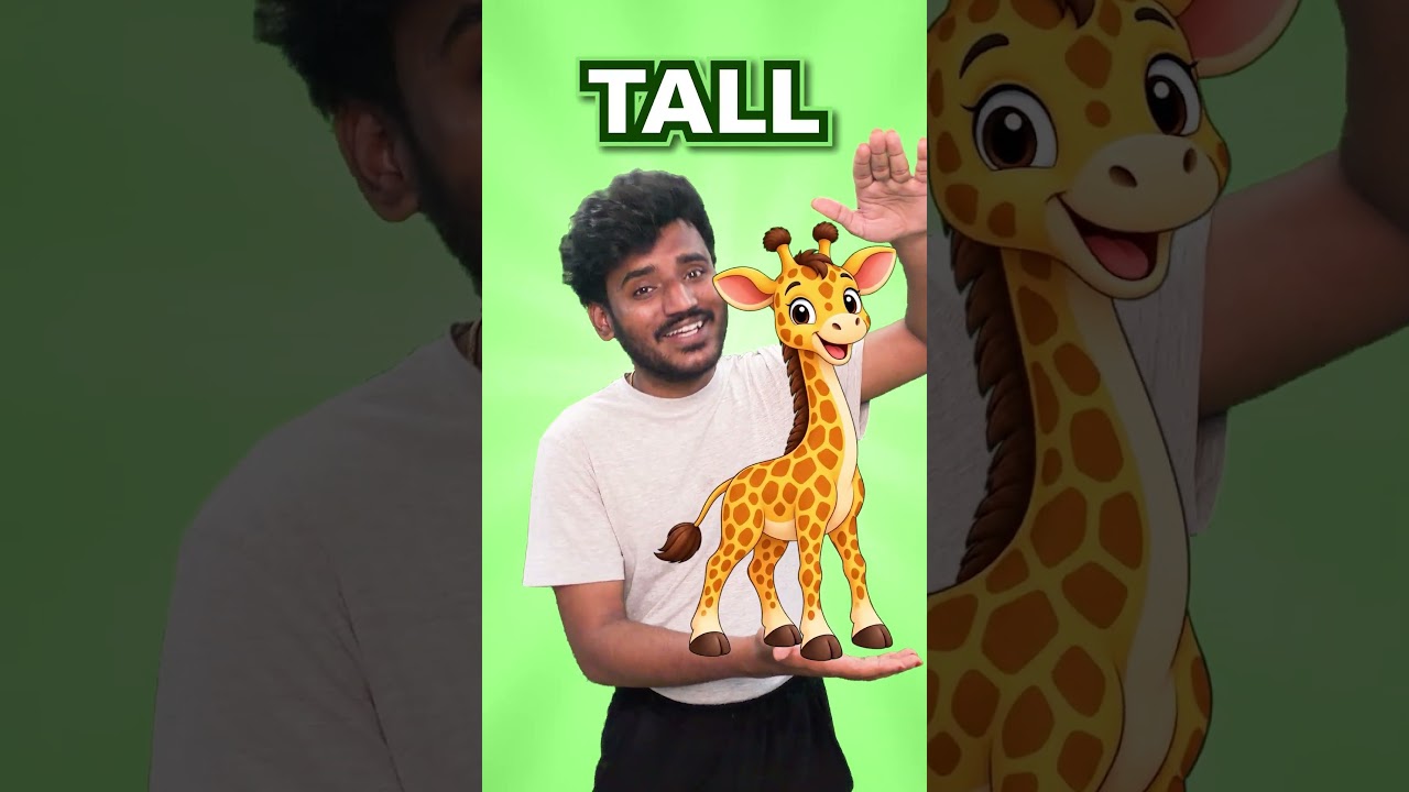 Big vs Small for Kids 🐘🐭 | Learn Opposite Words in English