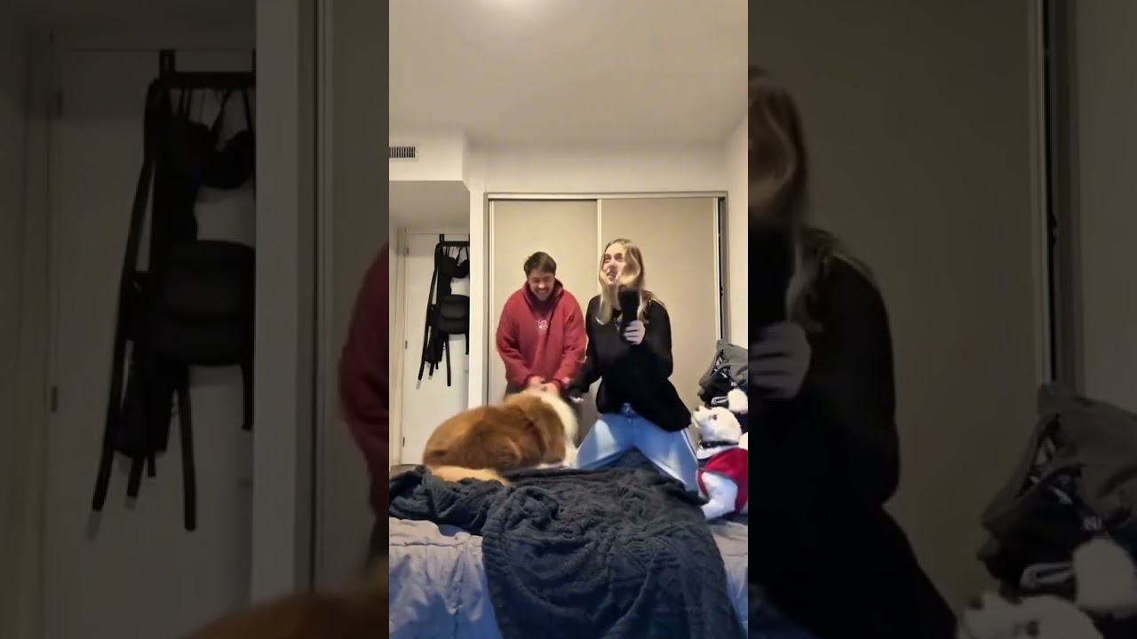 Why Dogs Mirror Human Pauses: The Secret Behind Viral Freeze Challenge