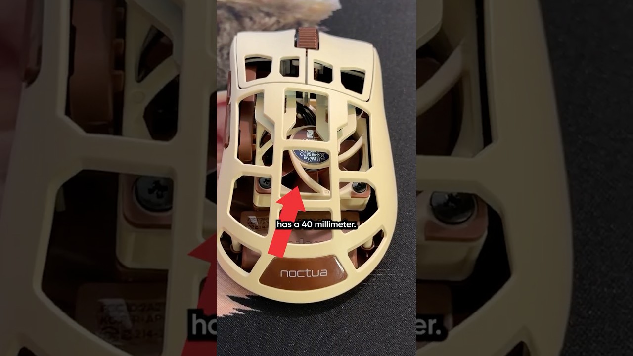 Noctua Fan Inside a Mouse?